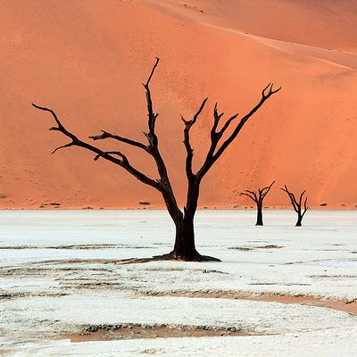 Namibia_photo_03.jpg