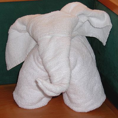 Towel_Elephant.jpg