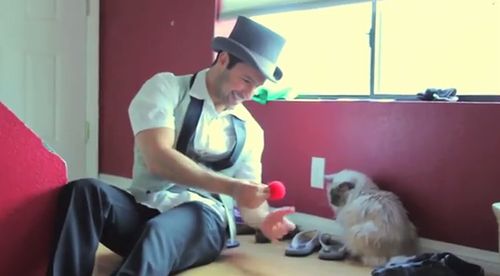 magic_for_cats.jpg