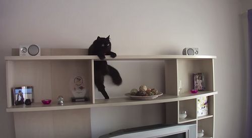 mission_impurrrsible.jpg