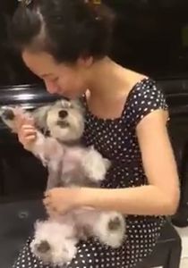 A_Dog_Like_A_Musical_Instrument.jpg