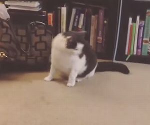 How_Bob_Gets_His_Exercise.jpg
