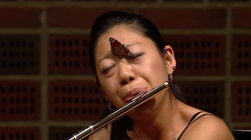 Flautist_plays_on_as_butterfly_lands_on_her_face.jpg