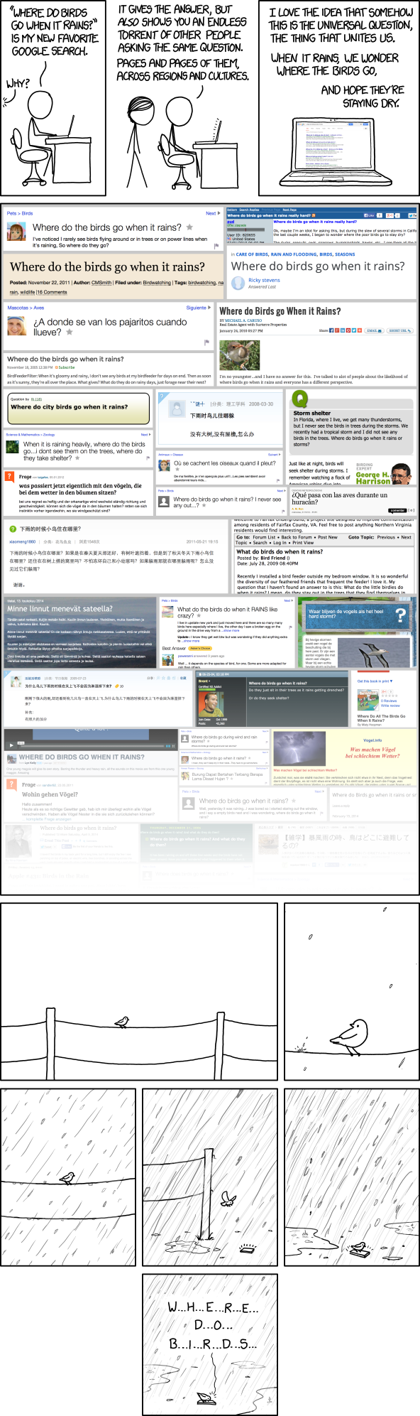 xkcd where do birds go 鳥達はどこに行くの 涙目で仕事しないse xkcd where do birds go 鳥達はどこに行くの 涙目で仕事しないse