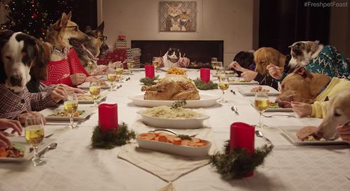 13_Dogs_and_1_Cat.jpg