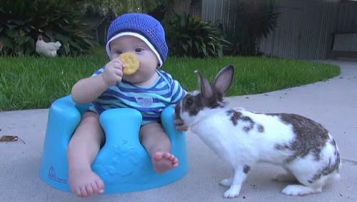 bunny_and_baby.jpg