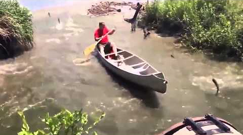Fantastic_fishing.png