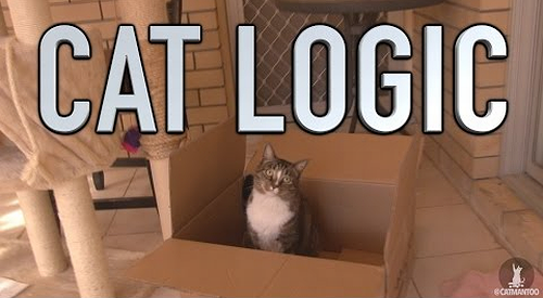 cat_logic.png