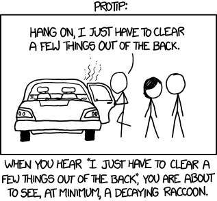 back_seat.png