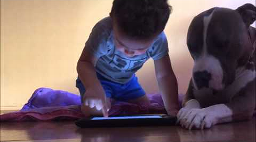Family_dog_jealous_of_iPad.png