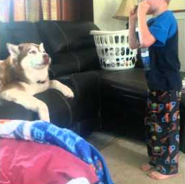 Husky_Sings_Along_To_Harmonica.png
