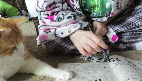 cat_helps_owner_solve_word_puzzle.jpg