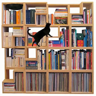 cat_bookshelf_02.jpg
