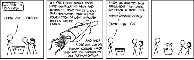cuttlefish_1.png