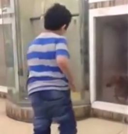 dog_attacks_child.jpg
