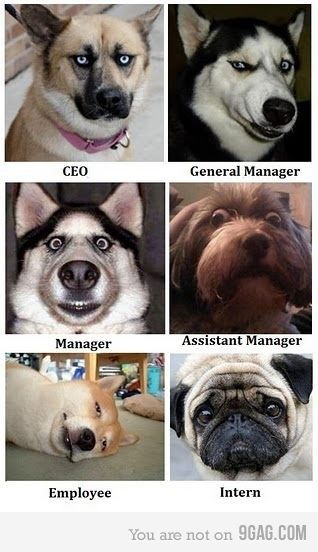 explain_management.jpg