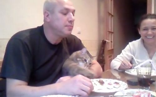 greedy_cat.jpg