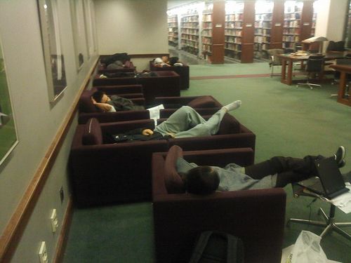 library_sleep_08.jpg