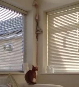 need_to_move_feeder.jpg