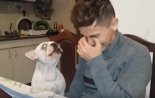 Dog_reacts_to_owner_crying.png
