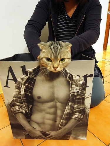 Muscle_cat.jpg
