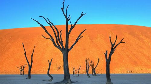 Namib_Desert_Time_Lapse.jpg