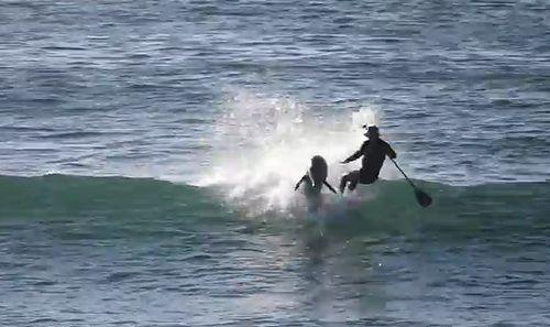 Paddle_Boarder_Gets_SMASHED_by_Dolphin.jpg