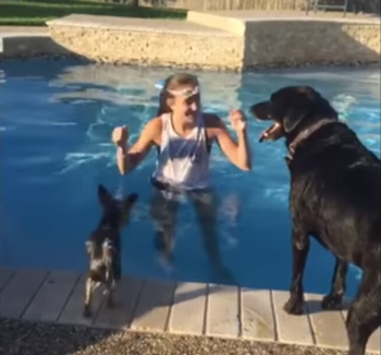 Puppy_Jumps_on_Swimming_Dog.png
