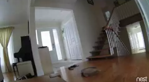 Roomba_committing_suicide.png