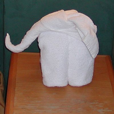 Towel_Elephant_side.jpg