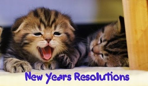 new_years_resolutions.jpg