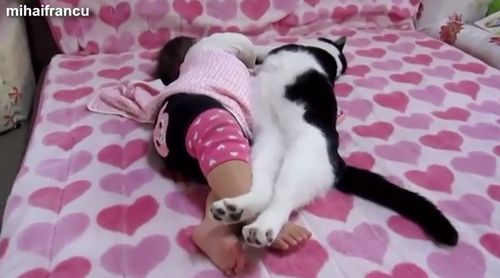 Cats_And_Dogs_Sleeping_With_Babies.jpg