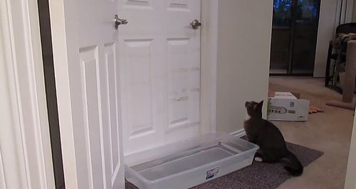 Mulder_opening_doors.jpg