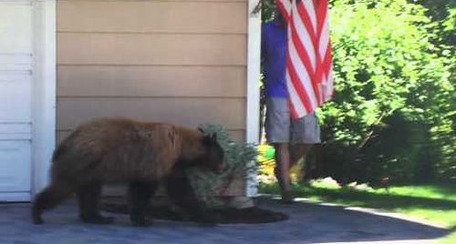 Bear_and_Man.jpg