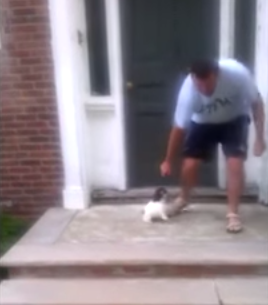 dog_says_no.png