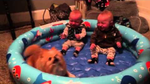 Twin_Babies_Cant_Stop_Giggling.png