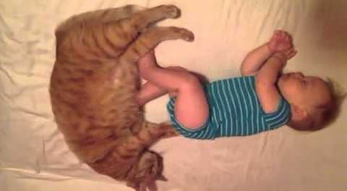 Cat_Massages_Sleeping_Baby.png