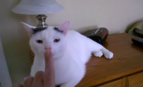 cat_touch_lamp.png
