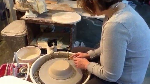 Cat_Tries_to_Help_Owner_Make_Pottery.png