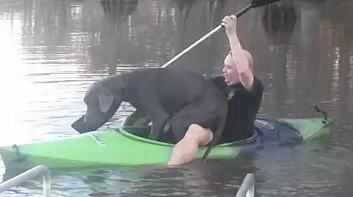 Big_dog_little_kayak.png