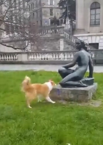 Doggo_trying_to_get_a_statue.png