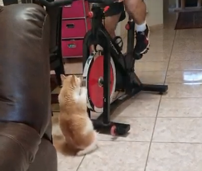 Exercise_goals_with_Floof.png