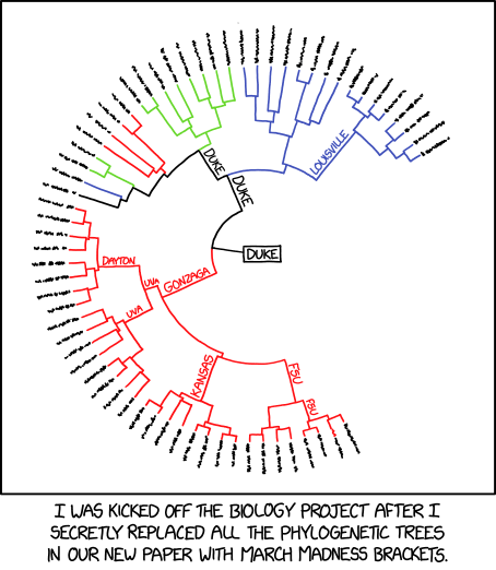 phylogenetic_tree.png