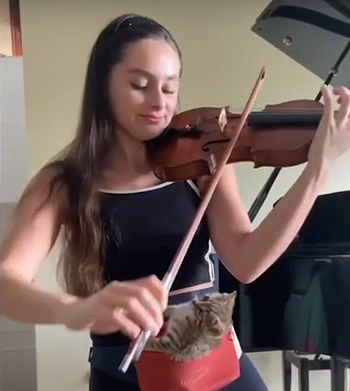 violinist_serenaded_a_tiny_kitten.png