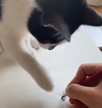 kitty_finds_paper_bug.png