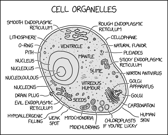 cell_organelles.png