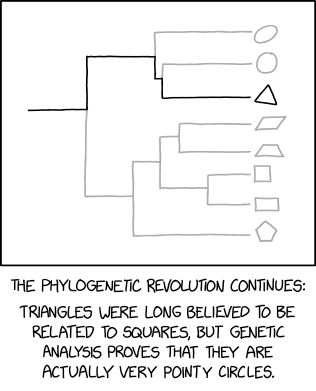 geometriphylogenetics.png