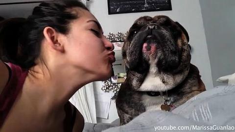 飼い主からのキスを嫌がるネコや犬達の映像集 Naglly Com