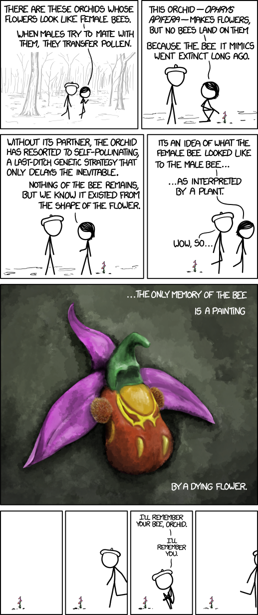 bee_orchid.png