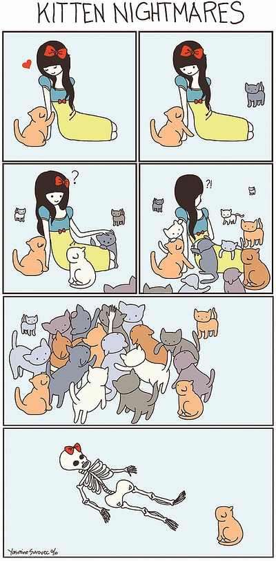 cat_vs_human_03.jpg